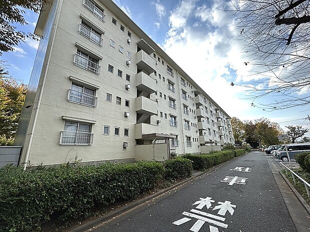 柏町住宅8号棟(3DK) 5階のその他画像