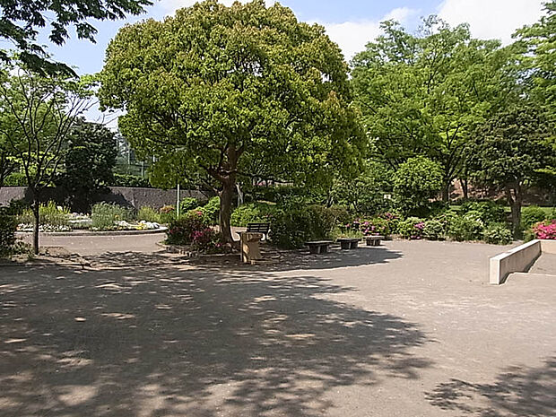 鶴川中央公園