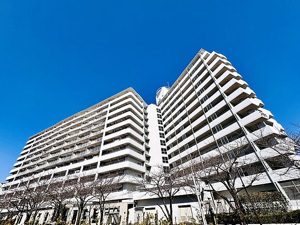 さくらマンション小松川(3LDK) 11階の外観