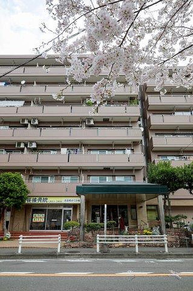 NICライブステイツ戸塚ガーデン・金子ヴィラ(3LDK) 7階の外観