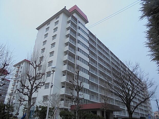 桂川ハイツ2号館(3LDK) 9階の外観