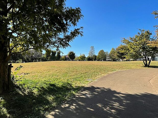 区立中村かしわ公園