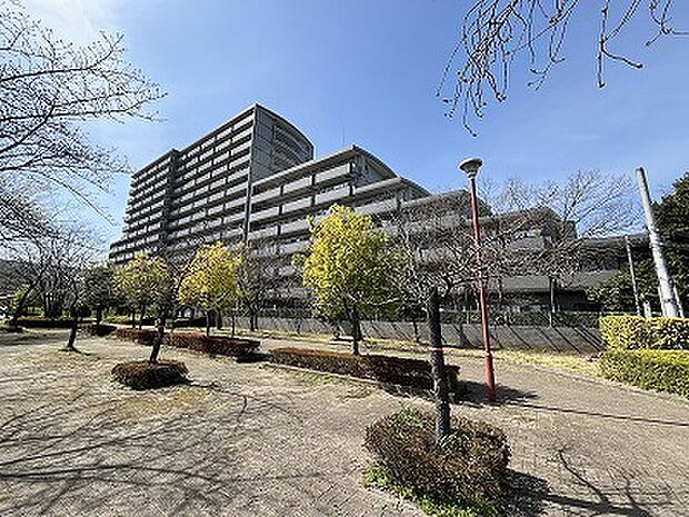 ワコーレロイヤルガーデン北本Ｄ棟(4LDK) 12階の外観