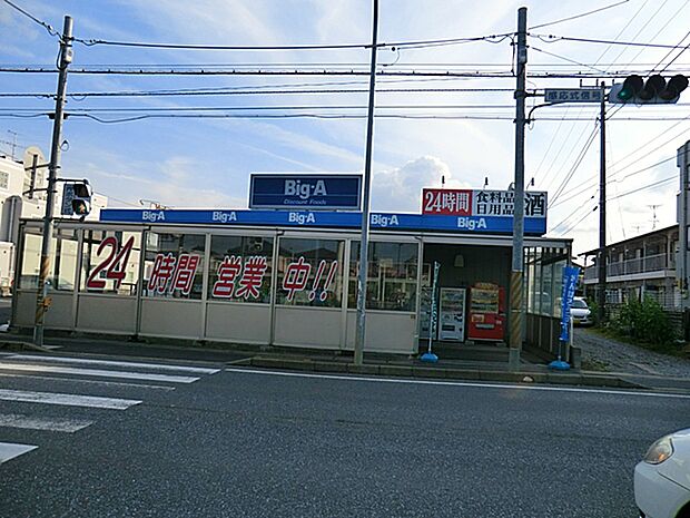 ビッグ・エー鎌ヶ谷丸山店