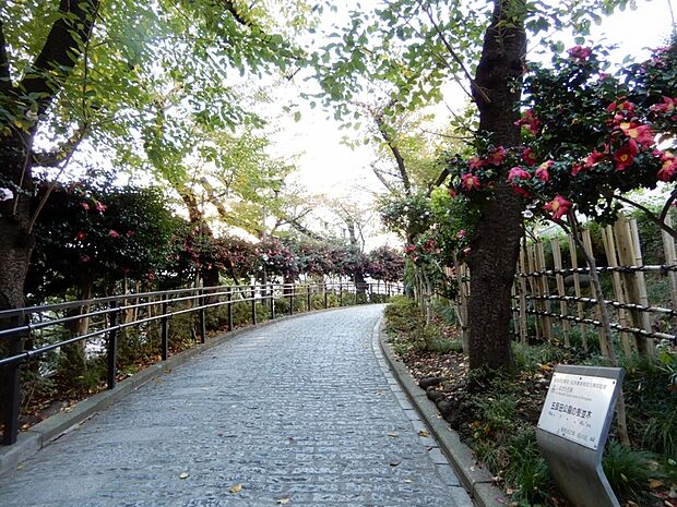 五反田公園 まで426m　徒歩約5分