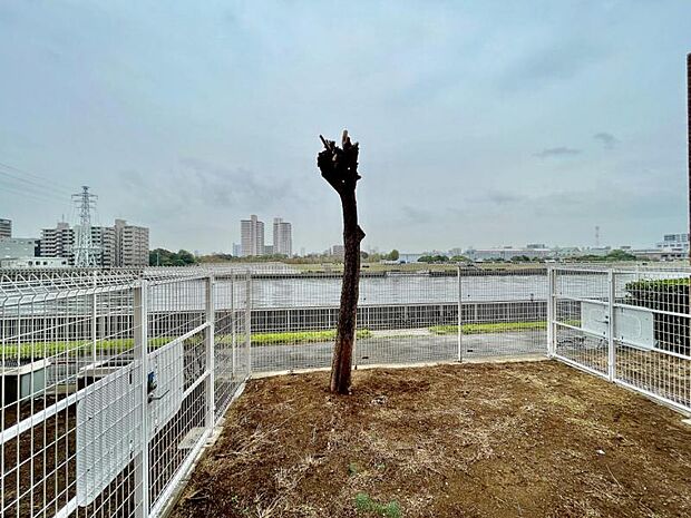 窓を開ければ気持ちの良い風がお部屋へと舞い込み開放的な空間となります