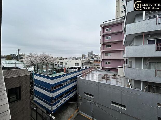 荻窪三丁目シティハウス(2DK) 4階のその他画像