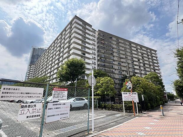                           東京メトロ有楽町線 豊洲駅まで 徒歩11分
      