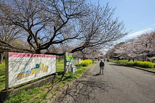 小金井公園西口（1259m）