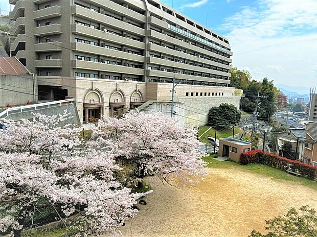 マンションの目の前にある古江上公園です。春は桜も咲いて非常にきれいですね。