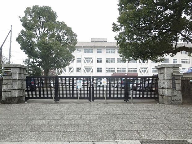【小学校】新居浜市立中萩小学校まで約1200ｍ（徒歩15分）です。毎日元気に歩いて足腰を鍛えられますね。
