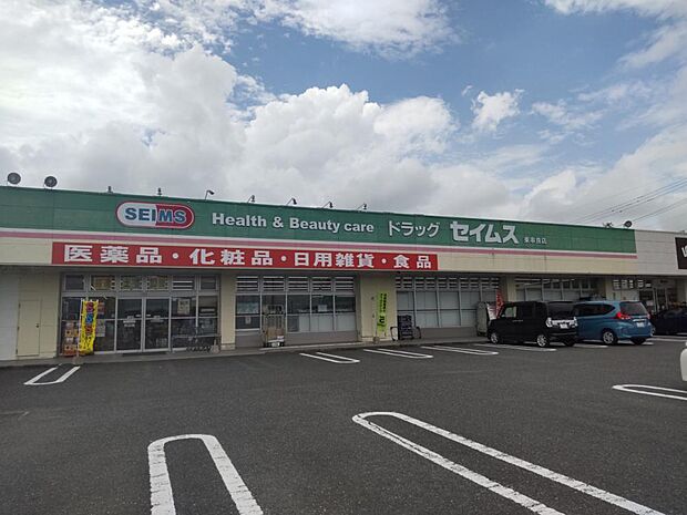 【周辺写真】ドラックストアセイムス東串良店まで約2400ｍ（車で約5分）（徒歩で約33分）です。