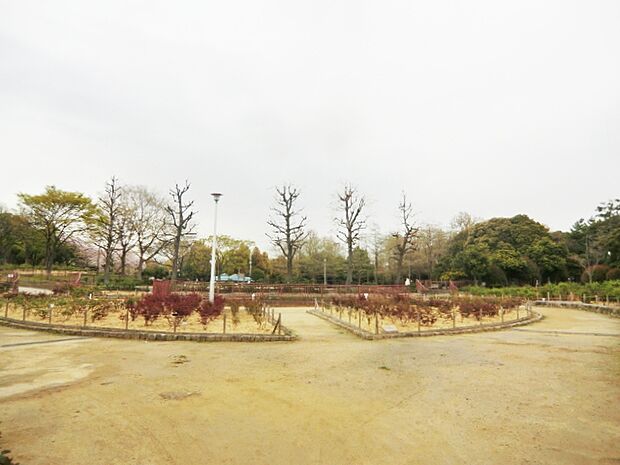 【公園】大井戸公園まで272ｍ