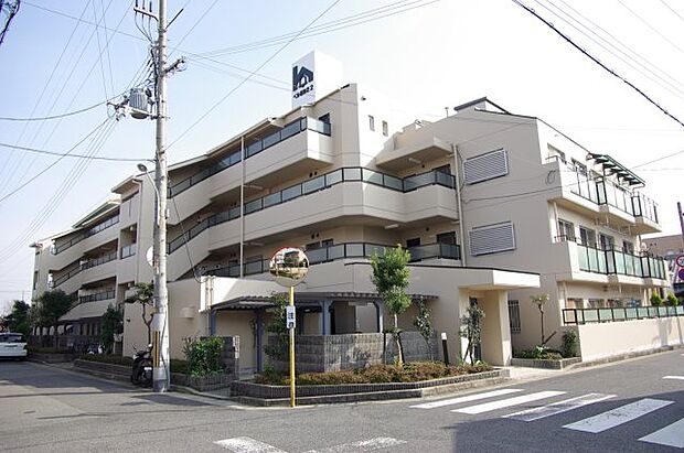 【現地】　ＪＲ甲子園口駅から徒歩20分、阪神武庫川駅から徒歩23分の立地です。昭和61年築の総戸数29戸のマンションです。4階建て2階南向き3ＬＤＫ住戸のご紹介です。