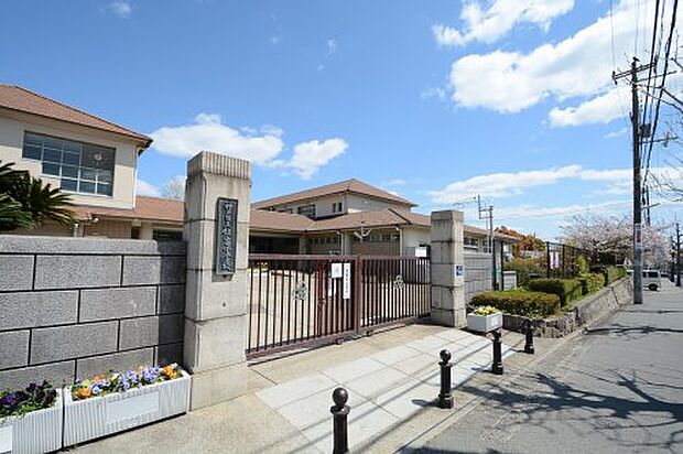 【小学校】神戸市立住吉小学校まで796ｍ