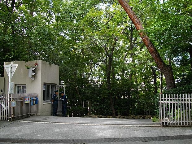 【中学校】夙川学院中学校まで661ｍ