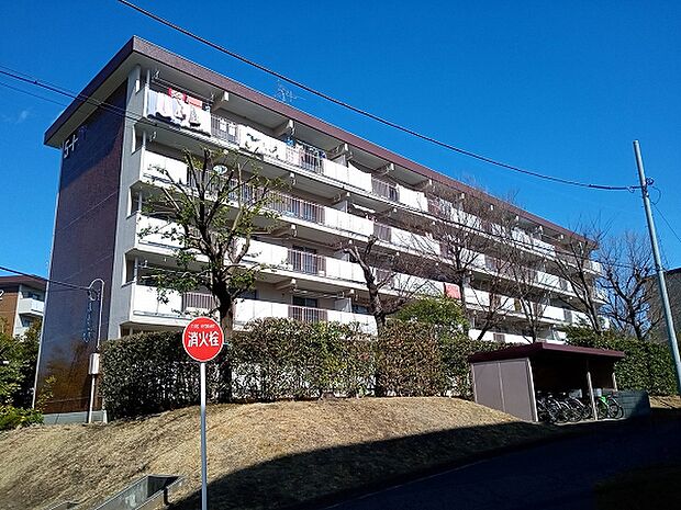 豊ヶ丘団地5−1(3LDK) 5階の外観