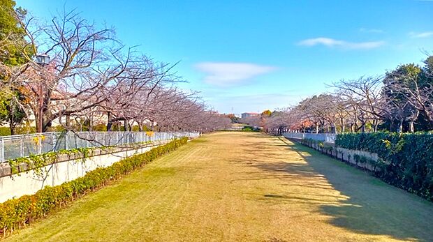 敷地南側の奈良原公園です。春は桜のお花見でにぎわいます。