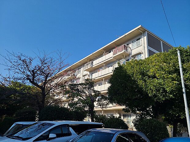 富岡住宅(2LDK) 5階の外観
