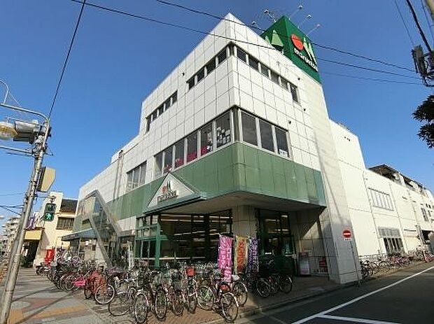 マルエツ松江店 170m
