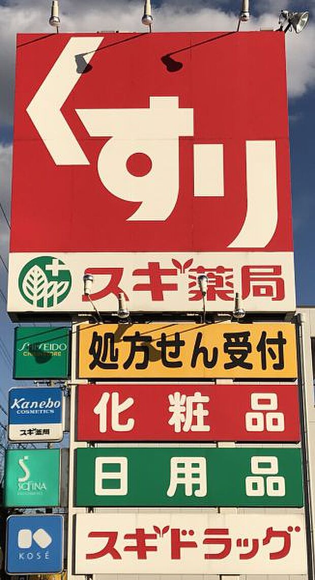 スギ薬局竹村店　徒歩約9分（約700ｍ）