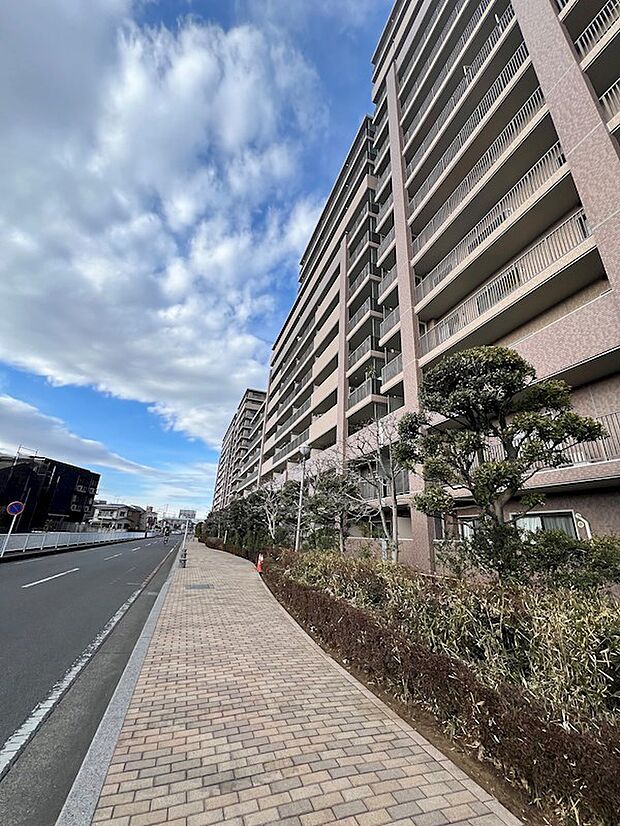 前面道路含む現地