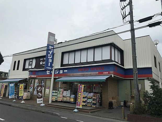 くすりセイジョー大和田店（1650m）