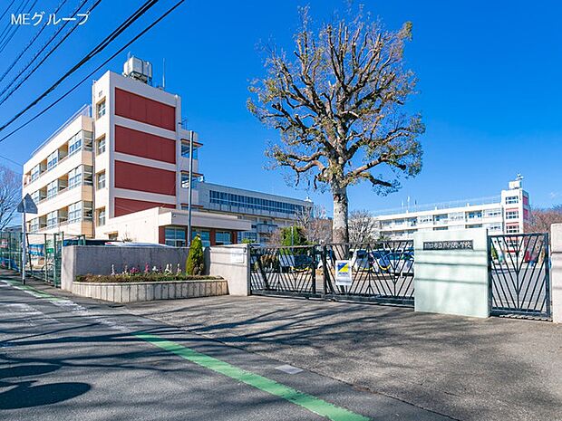 小学校 800m 川口市立戸塚小学校
