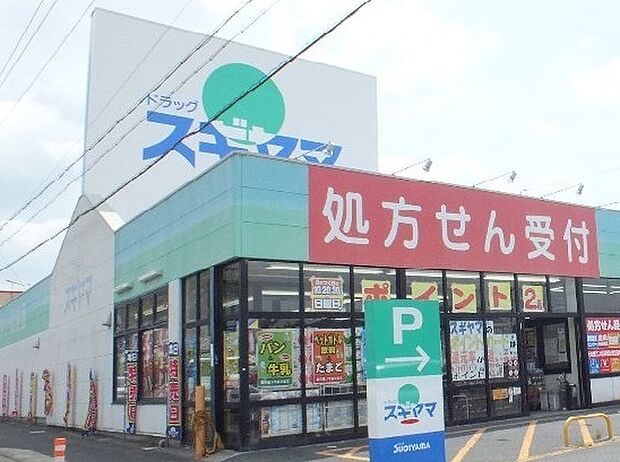 ドラッグスギヤマ　多米店（640m）