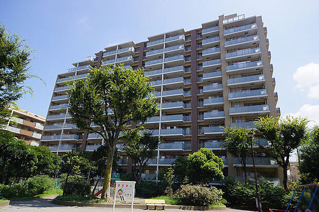             ＰＡＲＫ　ＦＲＯＮＴ　ＴＥＲＲＡＣＥ ＫＡＭＥＩＤＯ
  