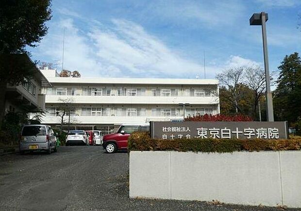 【総合病院】東京白十字病院まで1175ｍ