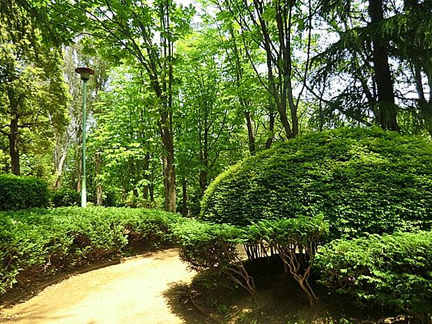 公園 1266m 金ヶ作公園(緑豊かな公園！)