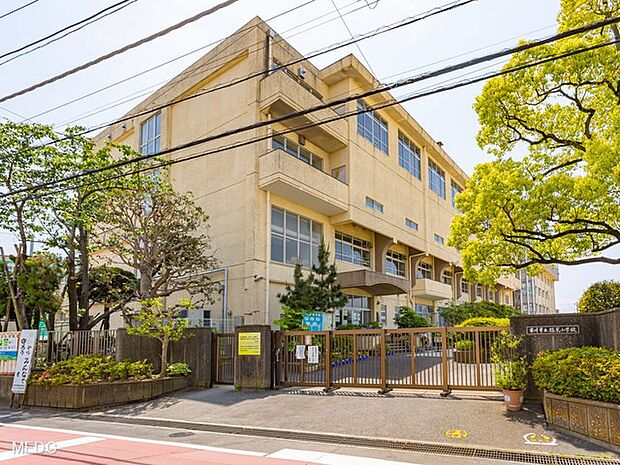 小学校 650m 市川市立福栄小学校