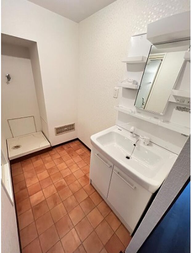 暮らしを快適に変えるシャワー付き洗面台！鏡の両サイドは、必要なものを取出しやすい棚タイプです。