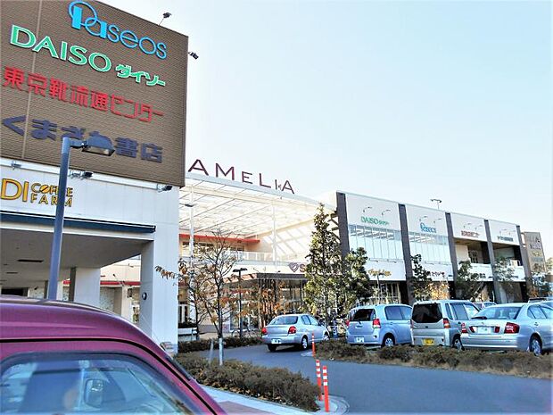 アメリア 町田根岸ショッピングセンター