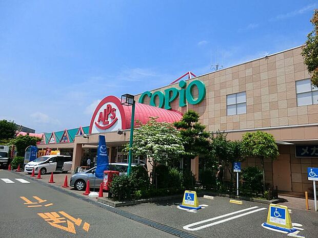 【コピオ　愛川】4050ｍ　駐車場がとても広くて、300台ぐらいは優に停められます。カー用品店や書店などがあり、一度に色んな買い物が出来ます。