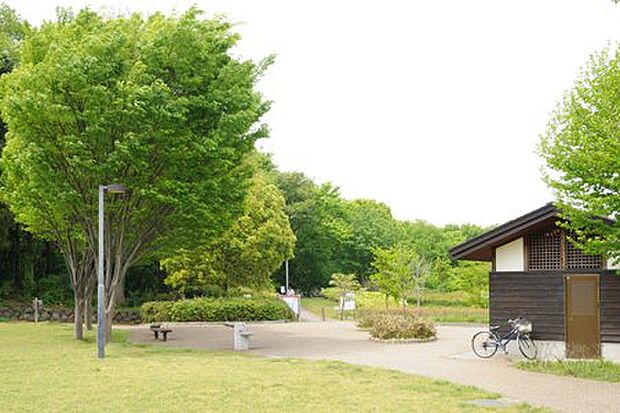 【座間谷戸山公園】　座間駅の方から座間市役所の方まであるとっても広い公園。木の歩道があり、ジョギングやウォーキングをしている方が多いです。
