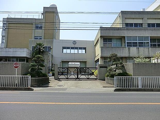 小学校 700m 川口市立戸塚東小学校
