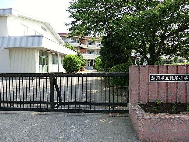 小学校 1615m 加須市立種足小学校