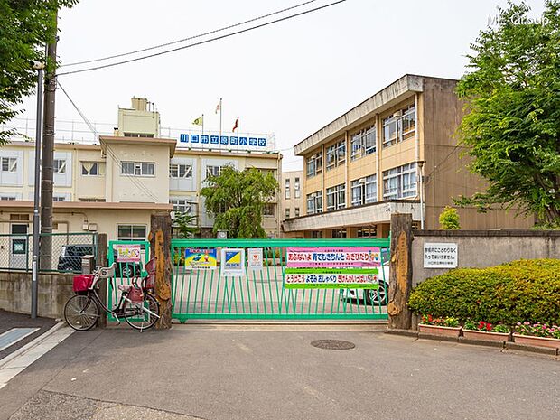 小学校 250m 川口市立原町小学校