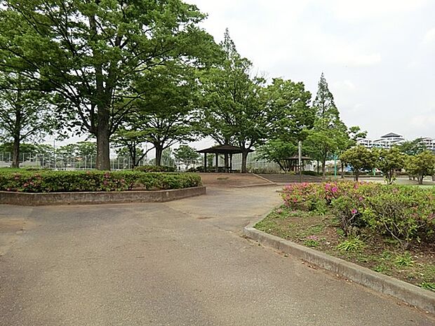 公園 398m 観音寺下公園