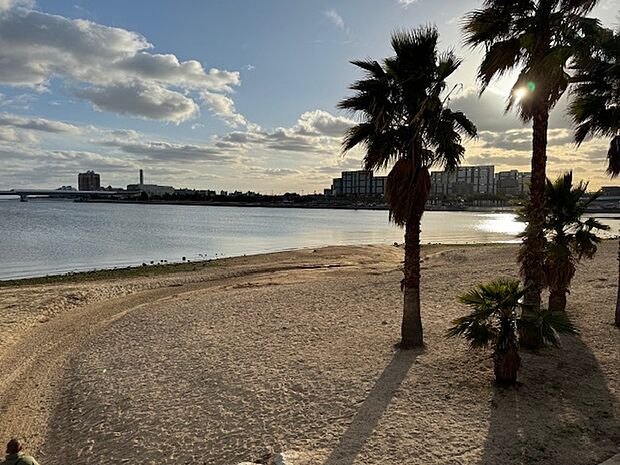 御前浜公園　約100ｍ