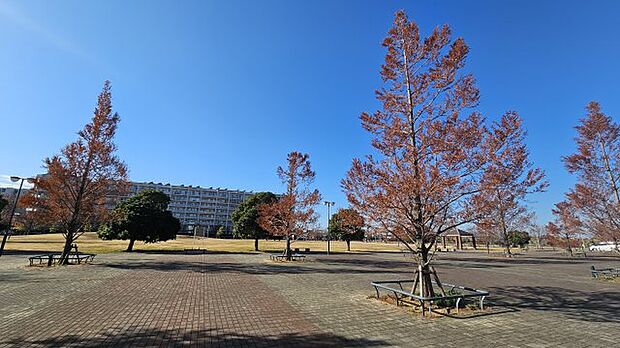 駅までのルートの傍らには見田方遺跡公園が広がります
