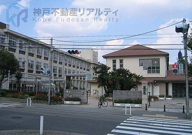 神戸市立住吉小学校 徒歩4分。 280m