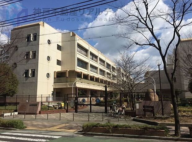 神戸市立義務教育学校港島学園 徒歩7分。 500m
