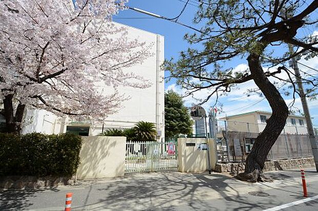 【中学校】神戸市立御影中学校まで1827ｍ