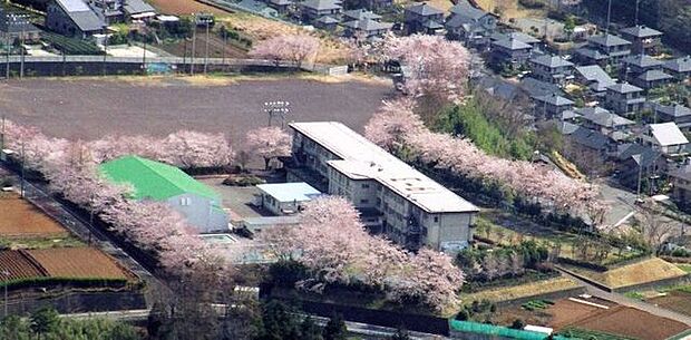 函南町立桑村小学校 750m