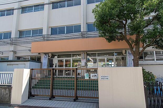 葛飾区立白鳥小学校