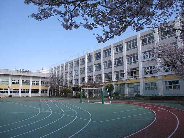 墨田区立寺島中学校（690m）