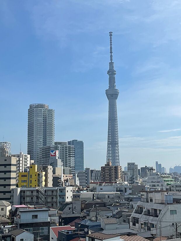 バルコニーから望める東京スカイツリー